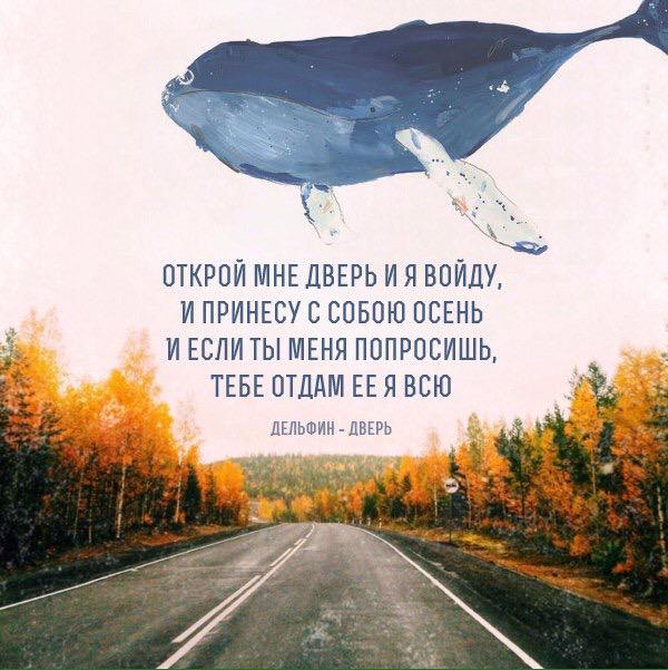 Kristinqa_98's tweet photo. http://t.co/MoyFQwKaIc