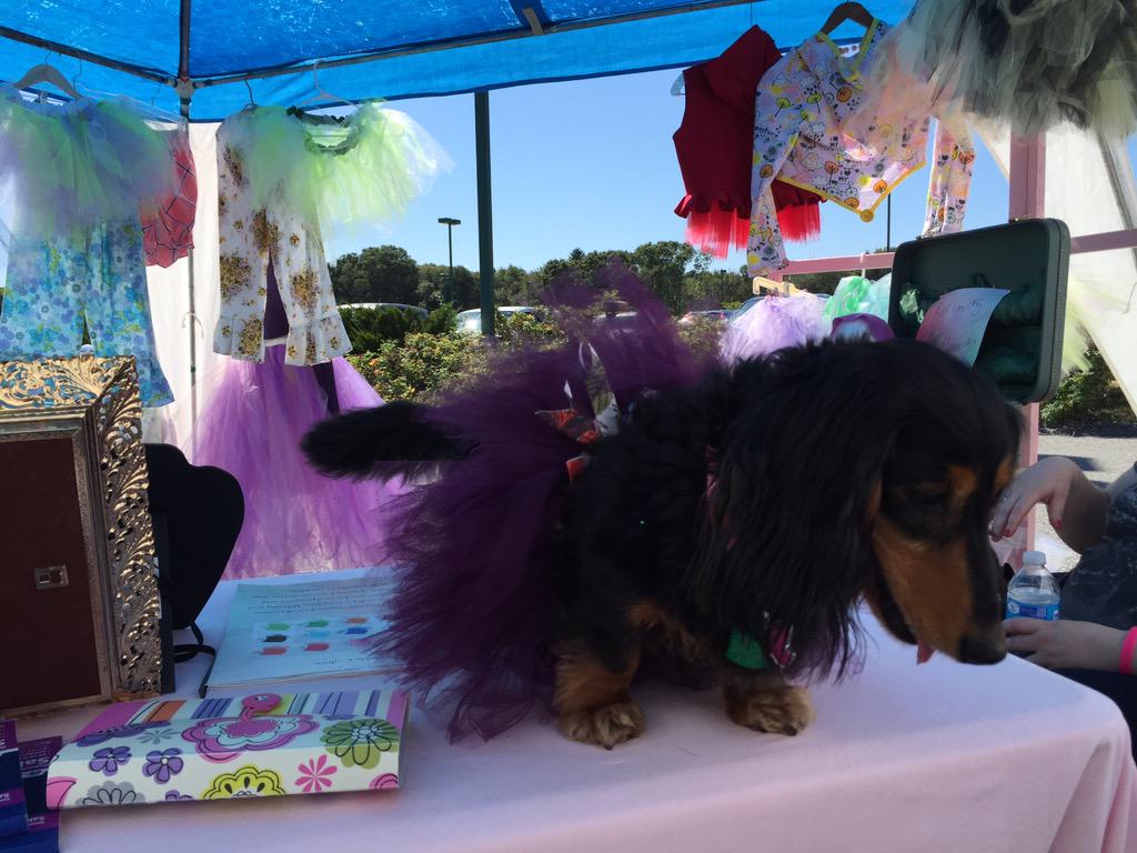 AidaraRose's tweet photo. @WhimsyandFluff http://t.co/8spZMbQgL4