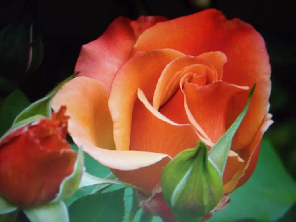 Iznhir's tweet image. @antoniamc1971 @toneteacb @LiaUse @tonijua37 @pakidari @insaurraldeh @civorev3105 @ignacia171 preciosa 💖 #EADT356 bss