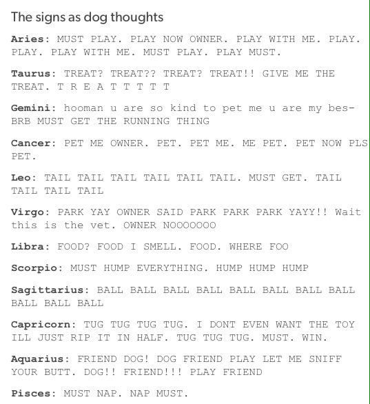 The signs as dog thoughts