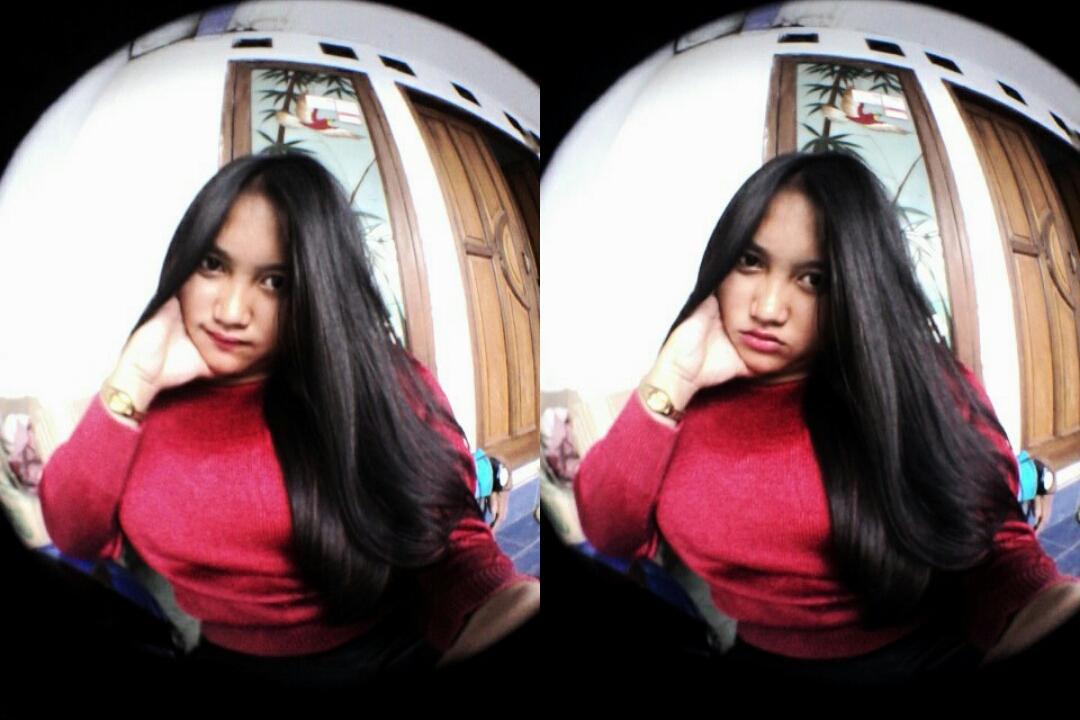 HaloooTweet