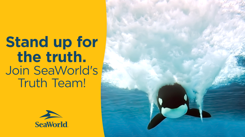 SeaWorld tweet media