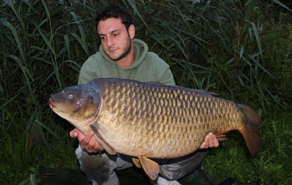 A different angle of Charlie Shipmans massive Cambridgeshire 40lb common. Naked chod rigs with the Maple Nut pop ups