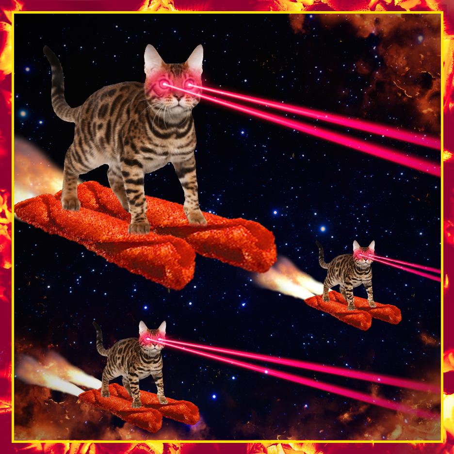 Závětří Mírný Domýšlivý laser cats 6 opatření flexibilní Tichomořské