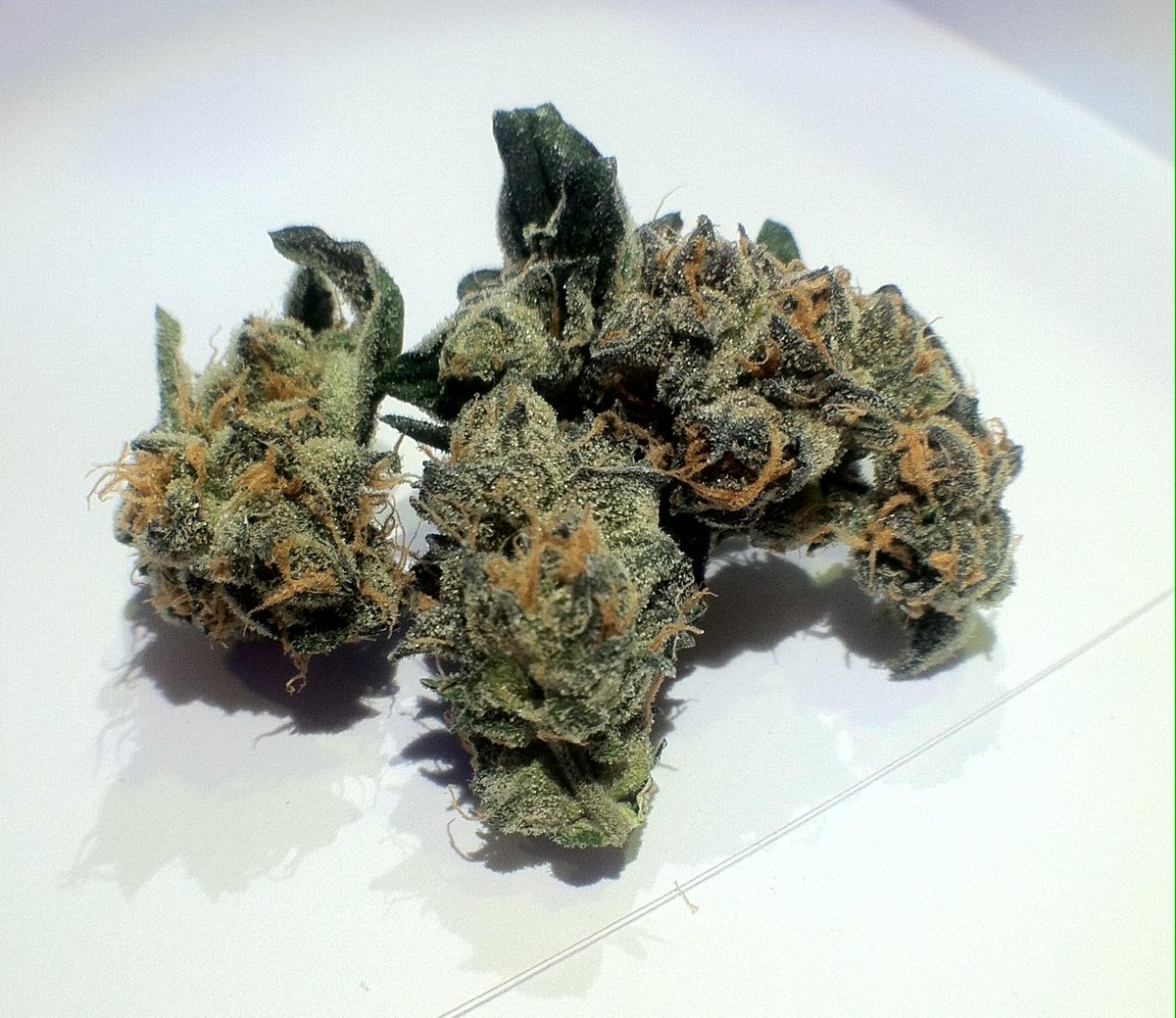 Have A Heart Café tweet media