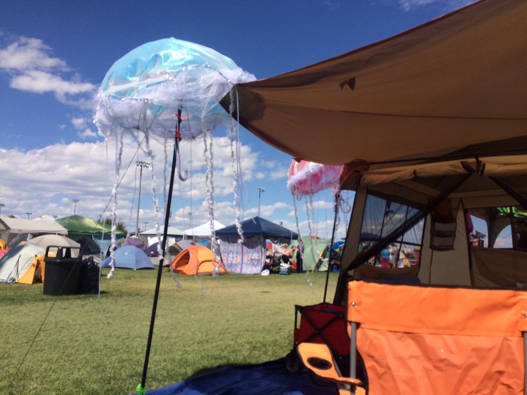 Treys_Flannel's tweet photo. jellyphish #phishdicks #phish http://t.co/HOjuSthgym