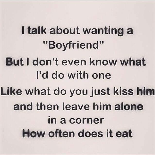 JodieCraven's tweet image. #singlelife #single #boyfriend