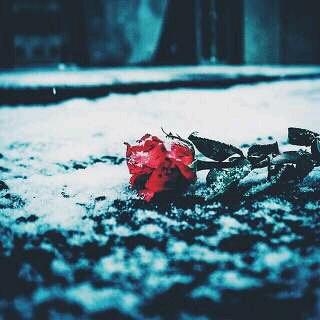 لكن ...
هم من جعلوننا ندمن أبجديتهم ....