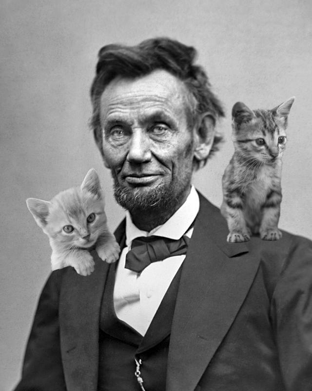 ShihTzuTylenol's tweet photo. #ItsNotABigDealBut Abraham Lincoln loved cats and could play with them for hours http://t.co/V0te0FUDw4