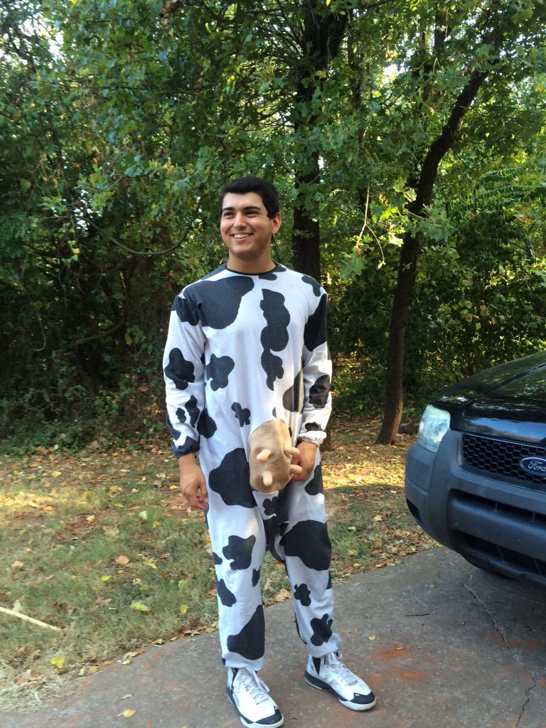 Juflamingo's tweet photo. Moo.🐄🐮 😉 http://t.co/7E6GwC8btd