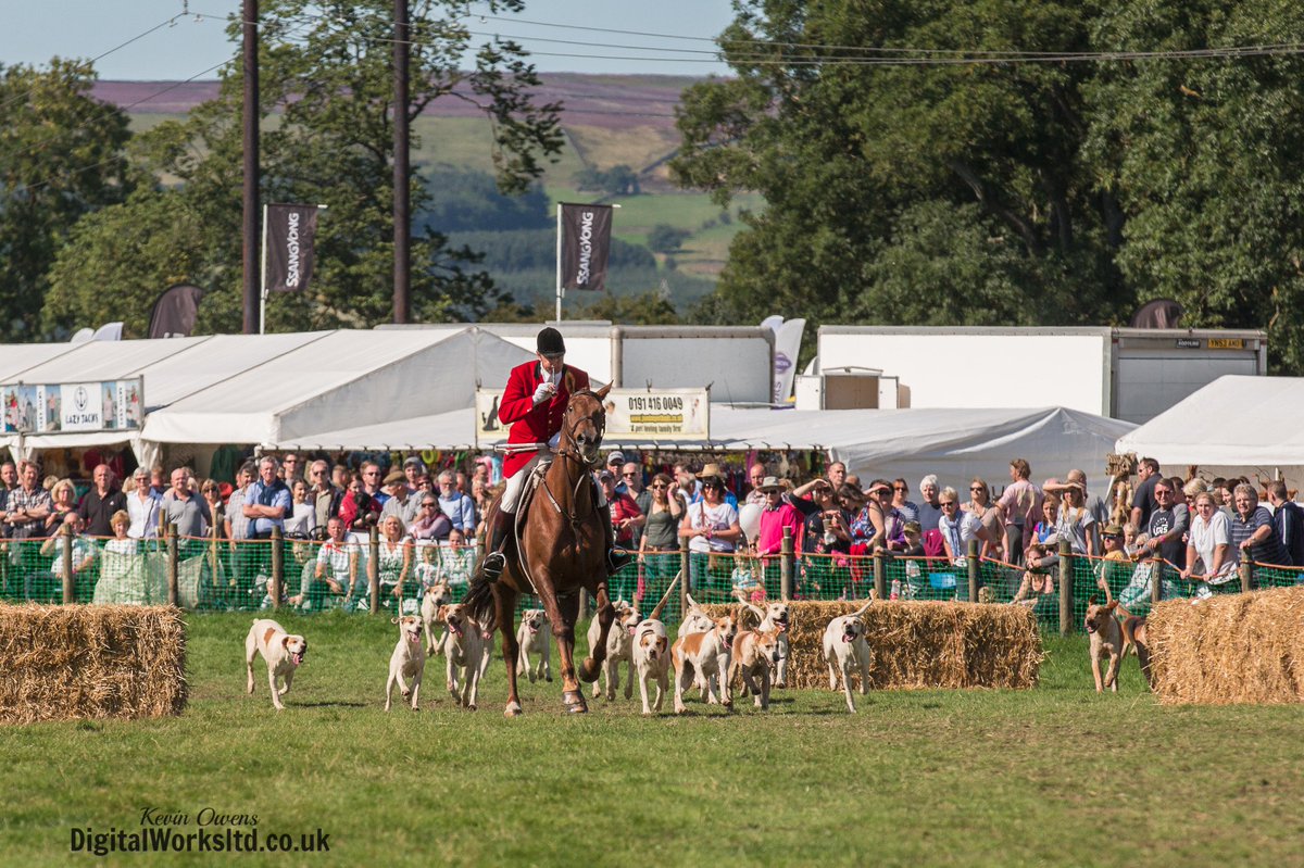 Gsxr1000UKKO's tweet photo. Braes of Derwent and Weadale Beagles @CAupdates @CAjilly @keephunting_
#hunting #hounds #bdh #ryanmania #beagles http://t.co/HoBuVVzNuV