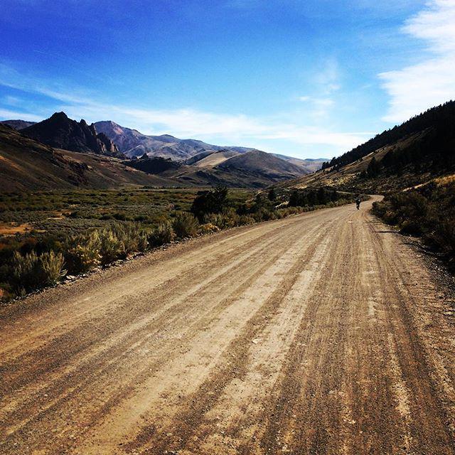 aaronlutze's tweet image. Survived #rpi2015 - 93 miles in the bag. Whew! ift.tt/1M4tOWg