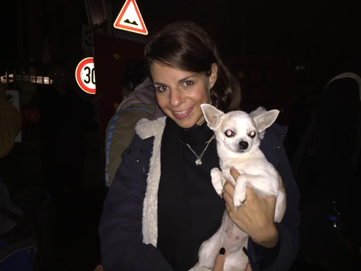 Til Biermann tweet media