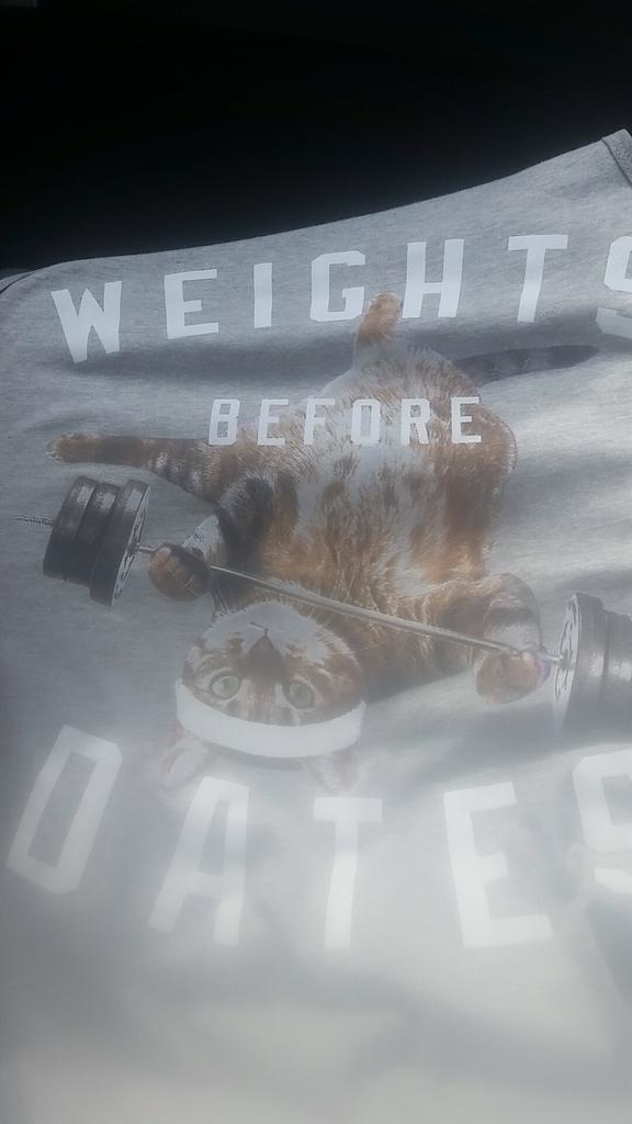 AndrewTanata's tweet photo. So much yes!  #kitty #tank #weightsbeforedates http://t.co/szzZtnKrMb