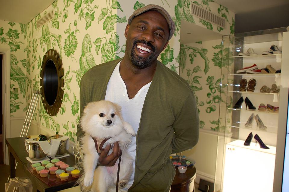 Idris Elba loves cats. >^..^<

Happy Birthday, Idris!

Funny looking cat you have there...  