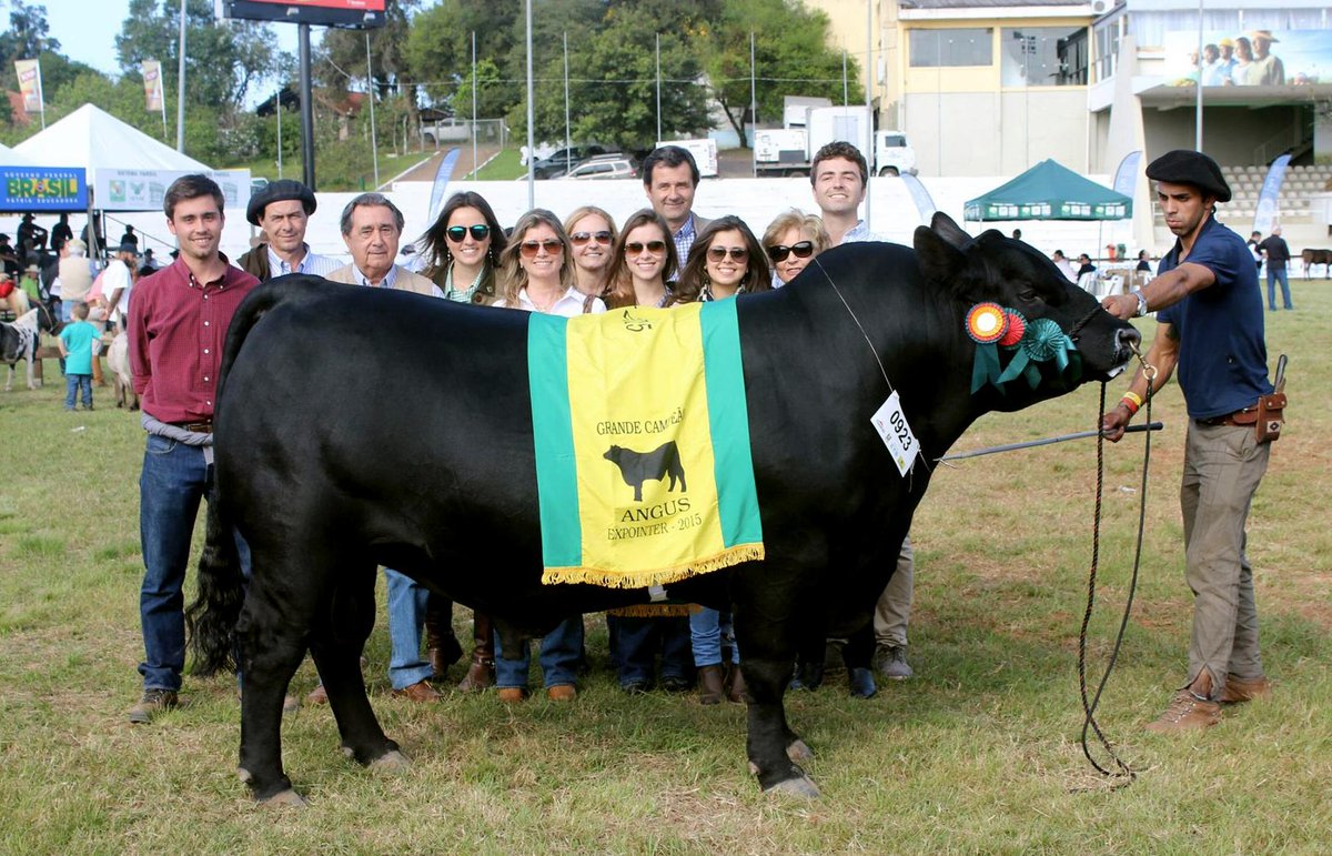 larubetaangus's tweet photo. Felicitaciones Cabanha S. Bibiano, por la obtención del Gran Campeón Macho Esteio 2015. Un hijo de Rubeta Verdadero. http://t.co/BAZRTkOXLT
