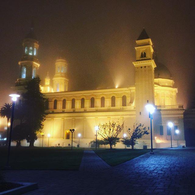 usfca's tweet photo. We are very lucky to walk by such a beautiful sight every day at #USFCA, never get tired of this view (PC: amber_a88) http://t.co/GfpxZpNbIq