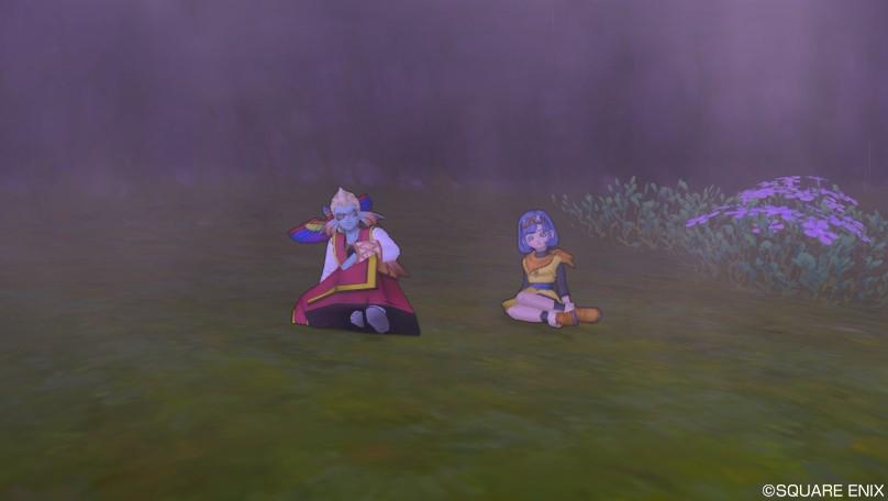 ドラクエ10攻略の虎 偽ワルド水源 E 5 セラフィ確認しました 野生のセラフィ おさんぽセラフィ Http T Co Eypwvzvnfg