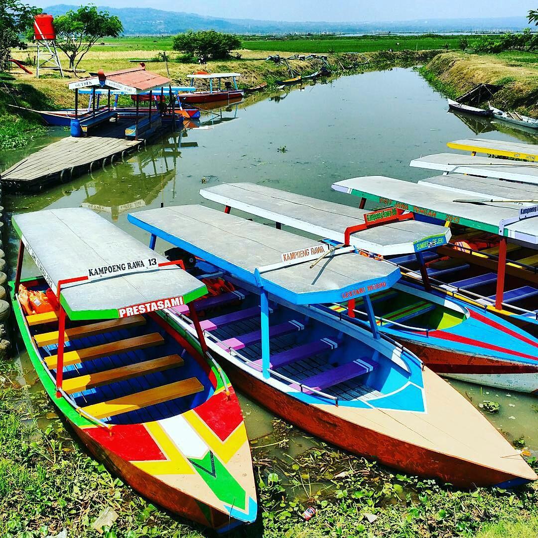 Kapal kapal yg bisa disewa untuk keliling di rawa pening
Kampoeng rawa
Ambarawa @50wisdomid
… instagram.com/p/7T-OhfBT3l/