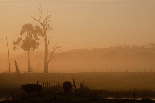TeachForAU's tweet photo. Associate Emily shows off the beauty of country life - http://t.co/oO1UMgyqs0 #TFVic http://t.co/tFwZLwz1xD