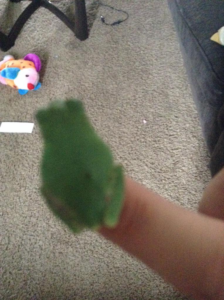 MccleanMadison's tweet image. 