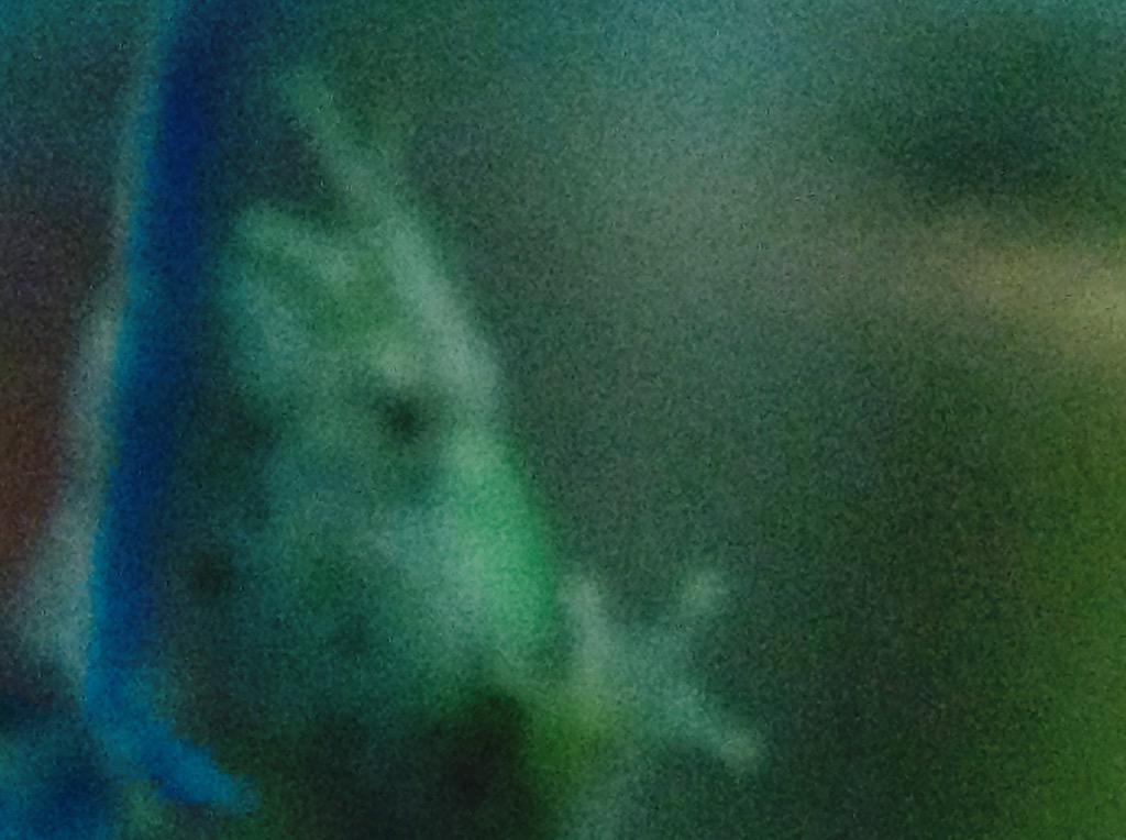 MccleanMadison's tweet image. I love my frogies!!! #frogs