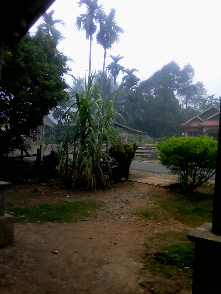 Voucher Zalora Unlim On Twitter At Vivacoid Kabut Merambat