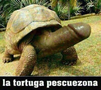 LadyFlakus's tweet photo. Fauna silvestre del #Webal. Debemos cuidarla y evitar el peligro de extinción @TotumaStereo http://t.co/8Hzu9BnDHk