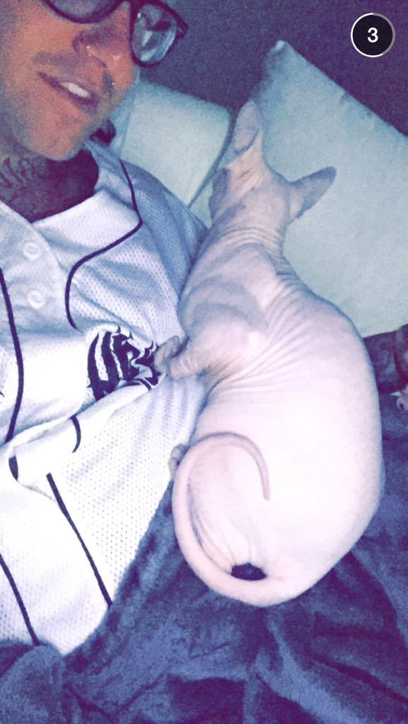 GuyVocal's tweet photo. @FRONZ1LLA #skinbaby #chicken #theoneandonly #carlthegoddamnsphinx http://t.co/MRydMOAIxL