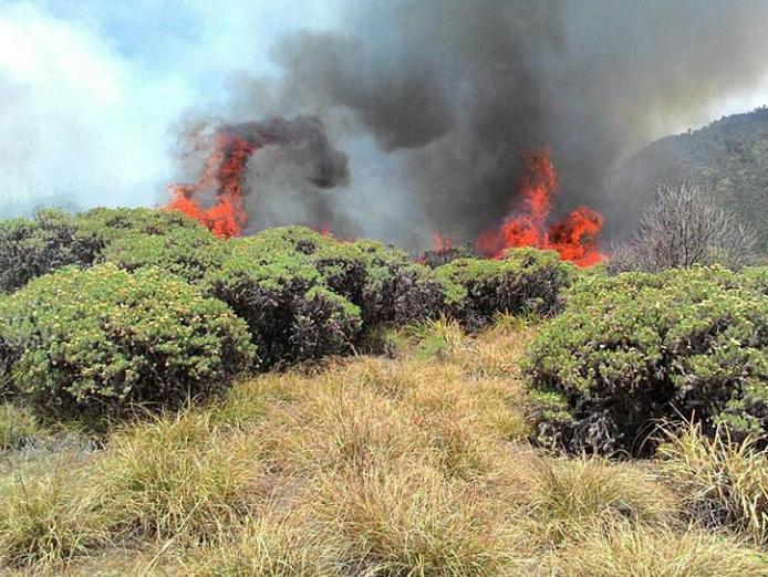 AICommunity_'s tweet photo. Sangat disayangkan, kemarin sekitar pukul 11.30 wib terjadi kebakaran dikawasan Tegal Alun, MT. Papandayan, Garut. http://t.co/S0Pwb4ntWn