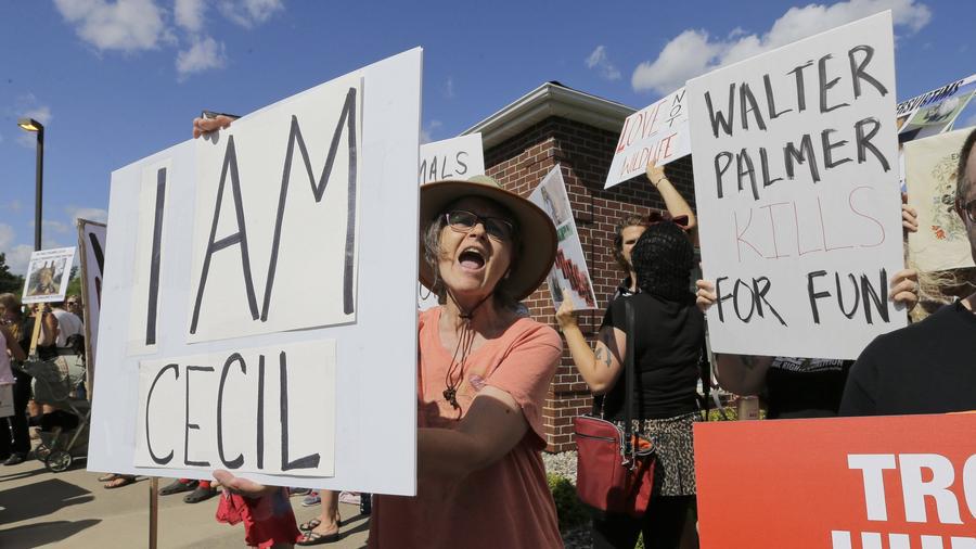 Minnesota dentist tied to Cecil the lion killing headed back to work cour.at/1NkscrQ