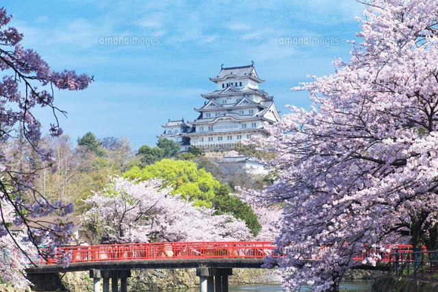 うさみちゃん tweet media