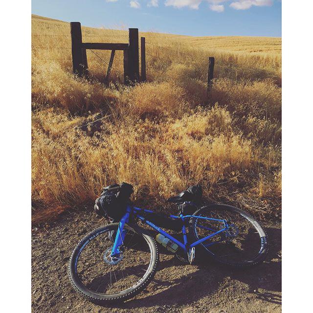 roughbeat's tweet image. Taking a break. #oregonstampede #bikepacking ift.tt/1PVRiuG