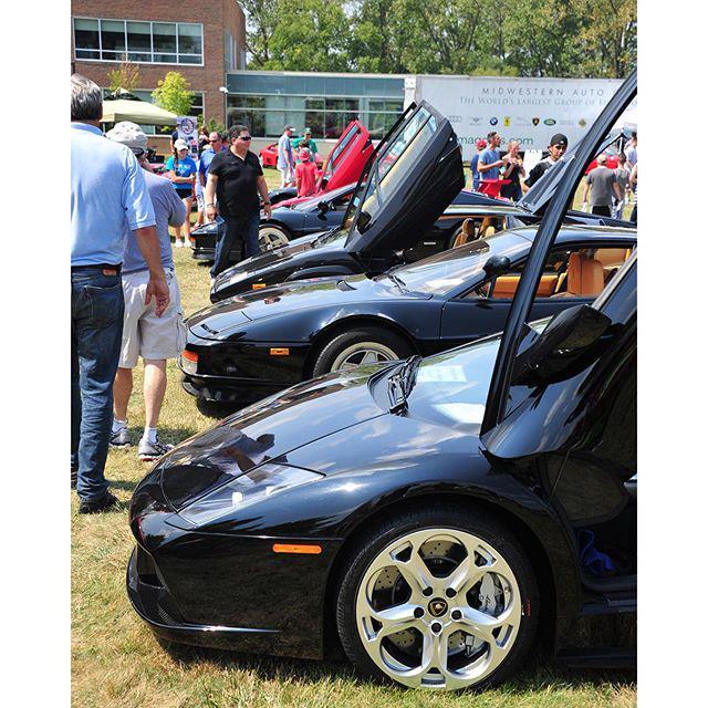 OnlyFerrariPics's tweet photo. 🌑🎱💣⚫️💋🌑#cbuscars #cbusexotics #ohiocarspots #blacklist #ohiocars #sportscars #amazingcars247 #cars247 #columbuscars… http://t.co/zsl8kNbM1n