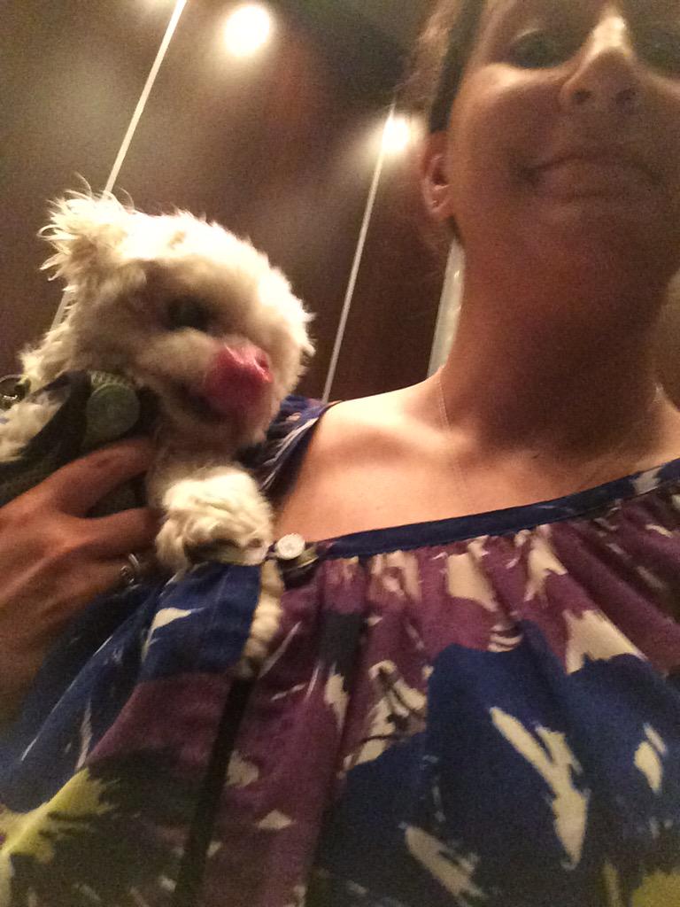 izzie511's tweet photo. Look at this guy copping a feel! #whatadog http://t.co/nXcole2Iat