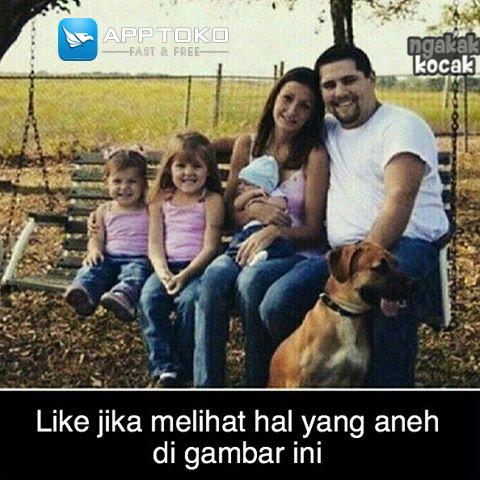 tsdika tweet picture