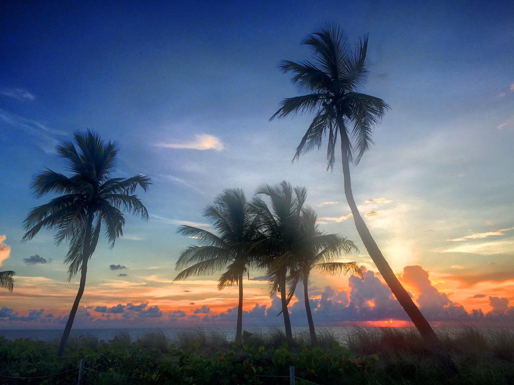 FtLauderdaleSun's tweet photo. http://t.co/uDALJsPIkH