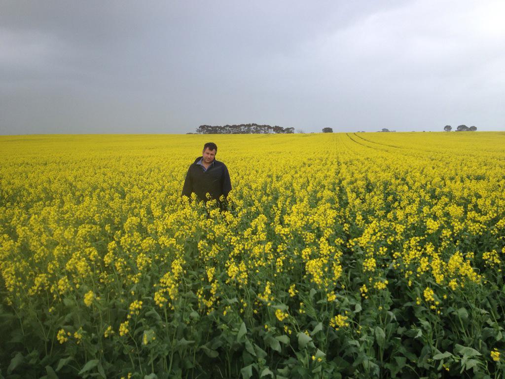 drum_craig's tweet image. Wahoo sown early looks great #paddockpride