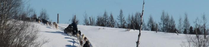 maxiaventure's tweet image. Un séjour parfait pour les couples et les familles au #Quebec goo.gl/j9LdFy #voyage