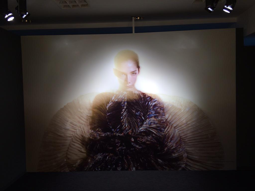 a395759998's tweet photo. iris wan herpen http://t.co/NWvQ1Q8xOy