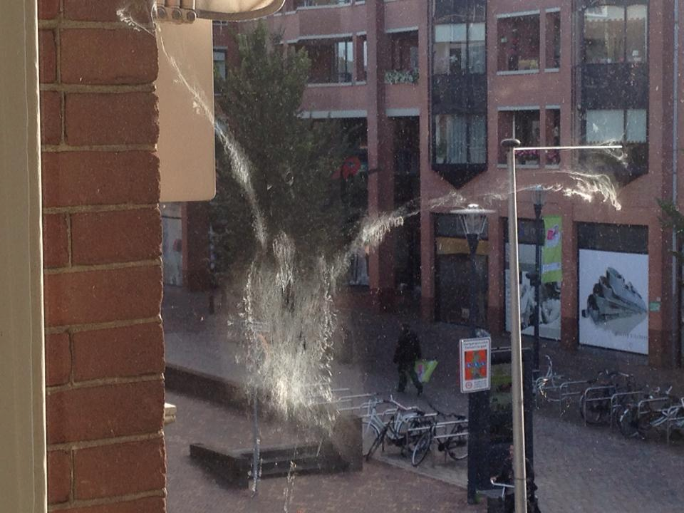 Bien_PixelStuff's tweet photo. Deze gast kwam na sluitingstijd, tja...dan sta je natuurlijk voor een dichte deur, of raam in dit geval. Arm dier. http://t.co/uxQbUiXVuY