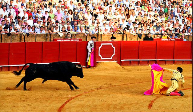 AT_UGR's tweet photo. Volvemos a la andadas, Este año regresamos con mas fuerza que nunca #sialostoros #tauromaquia http://t.co/c5EVN6blft
