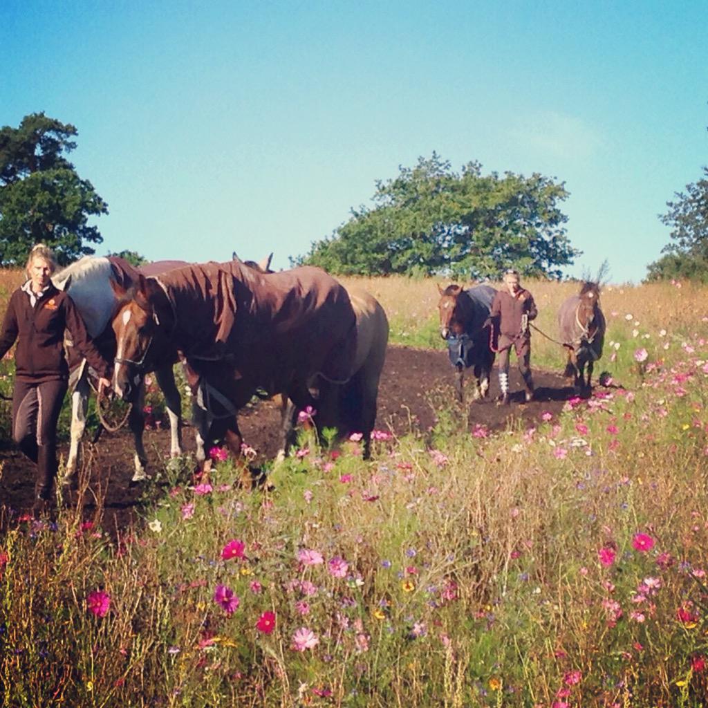 It's a beautiful day and we're ready to start the week with gusto. Who's with us? #DCmoments