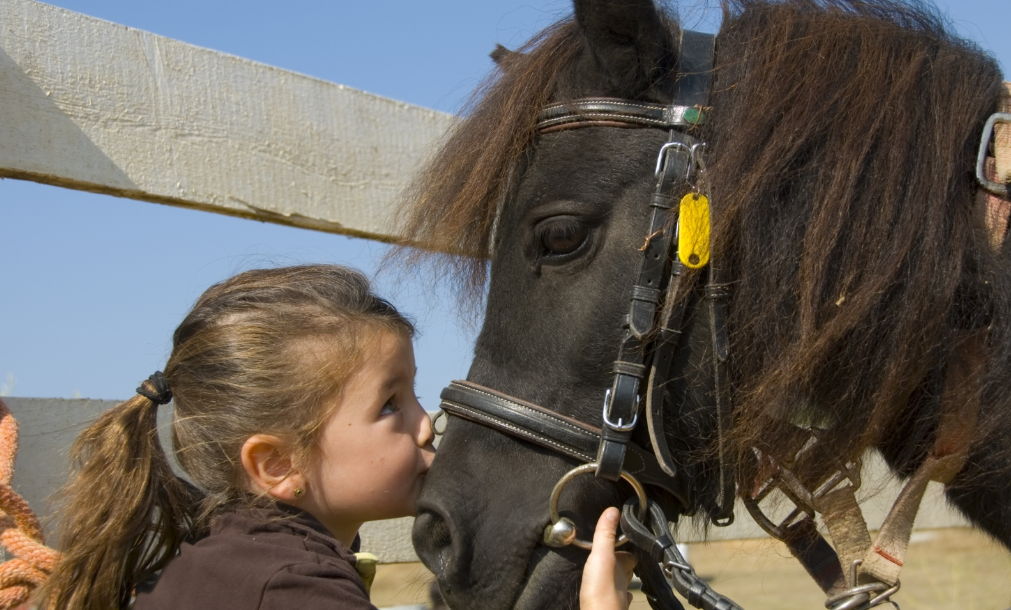 Ny studie: Livet på #landsbygden är bra för #hälsan bit.ly/1Oq31Bm Ping <a href="/AochAF/">Astmaallergiförbund</a>