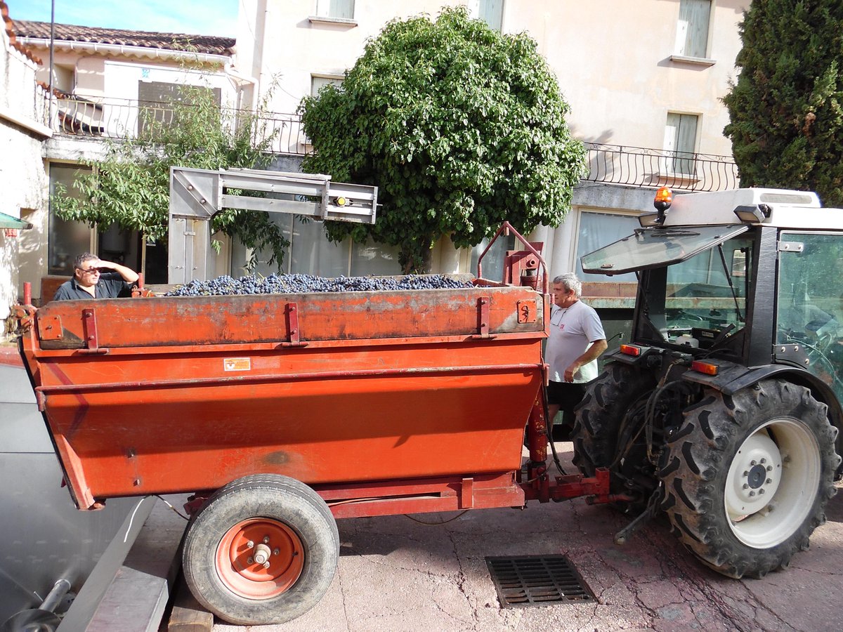 ArnouxEtFils's tweet photo. Harvest day in Vacqueyras, all the Arnoux Team is at work since early morning...
@ArnouxEtFils @JeffArnoux http://t.co/ZEOahhSXSS