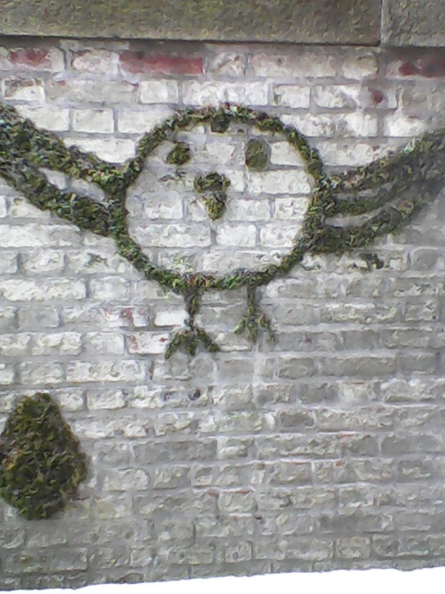 Portes ouvertes tous les soirs de 17h30 à 19h cette semaine.