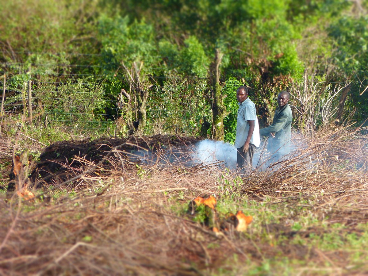 Cookswell Jikos and Seedballs Kenya tweet media