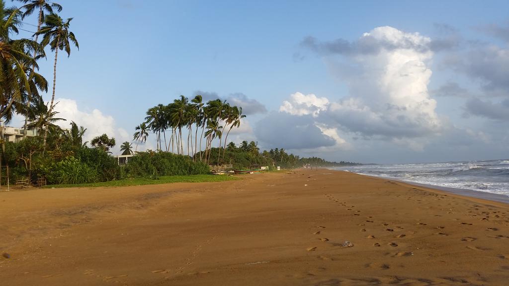 ReshniTours's tweet photo. British airways pilot Kevin is discovering Sri Lanka with Reshni Tours #holiday #reshnitours #elephants #beachparties http://t.co/u4uCopUSrv