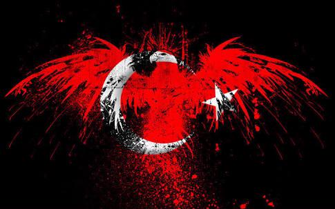 inermob's tweet photo. Tüm şehit ailelerimizin başı sağolsun. ŞEHİTLER ÖLMEZ VATAN BÖLÜNMEZ http://t.co/Qo4EJIoYS5