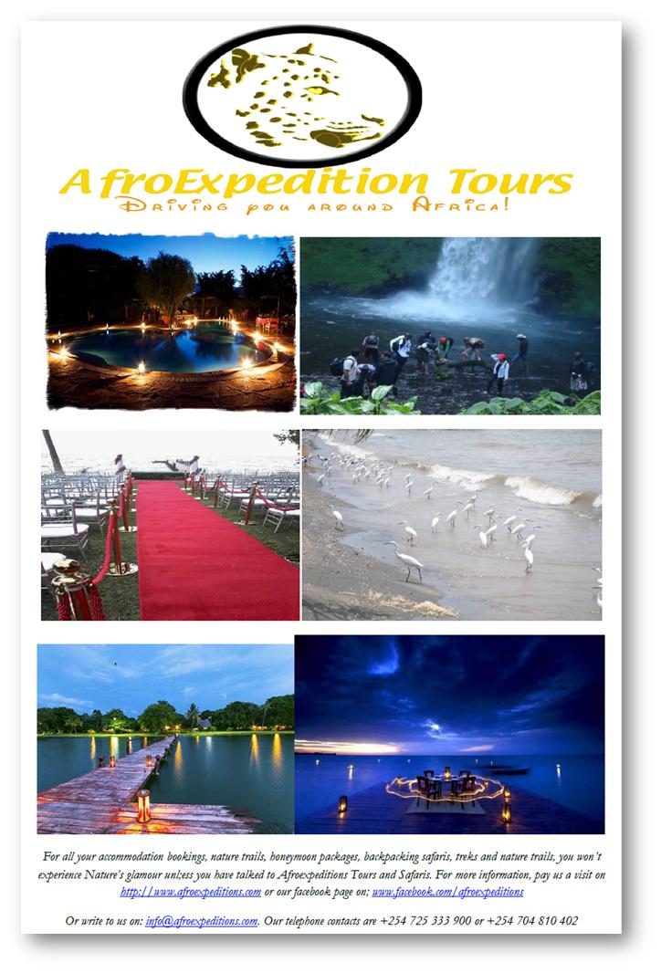 Afroexpeditions's tweet photo. http://t.co/qAXiKw7v9v, taking you to the roots of mother nature http://t.co/WCK7BDF4n3